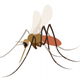Image source: Unicode.org